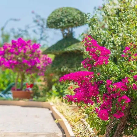 Villa Carretxet Sa Pobla